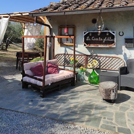 La Casa Tra Gli Ulivi Bed and Breakfast Κορτόνα Εξωτερικό φωτογραφία