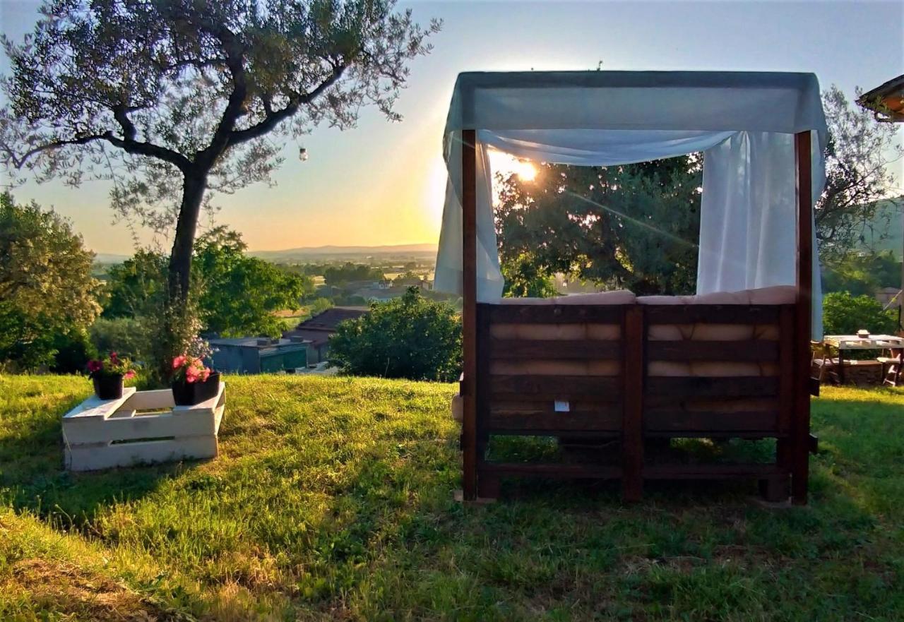 La Casa Tra Gli Ulivi Bed and Breakfast Κορτόνα Εξωτερικό φωτογραφία