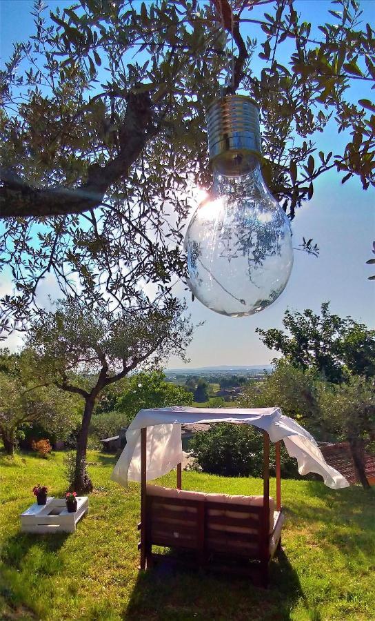 La Casa Tra Gli Ulivi Bed and Breakfast Κορτόνα Εξωτερικό φωτογραφία