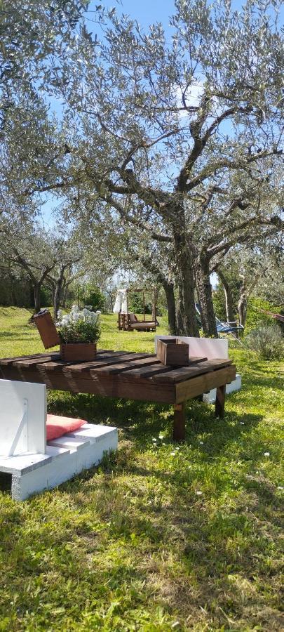 La Casa Tra Gli Ulivi Bed and Breakfast Κορτόνα Εξωτερικό φωτογραφία