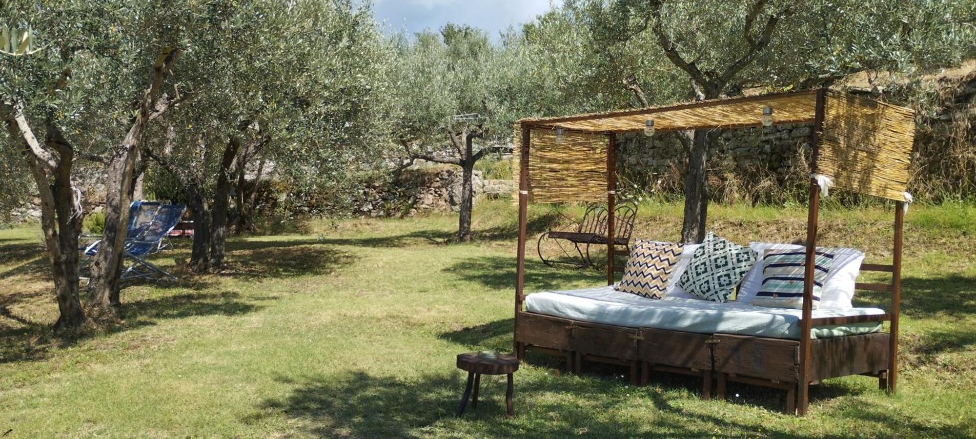 La Casa Tra Gli Ulivi Bed and Breakfast Κορτόνα Εξωτερικό φωτογραφία