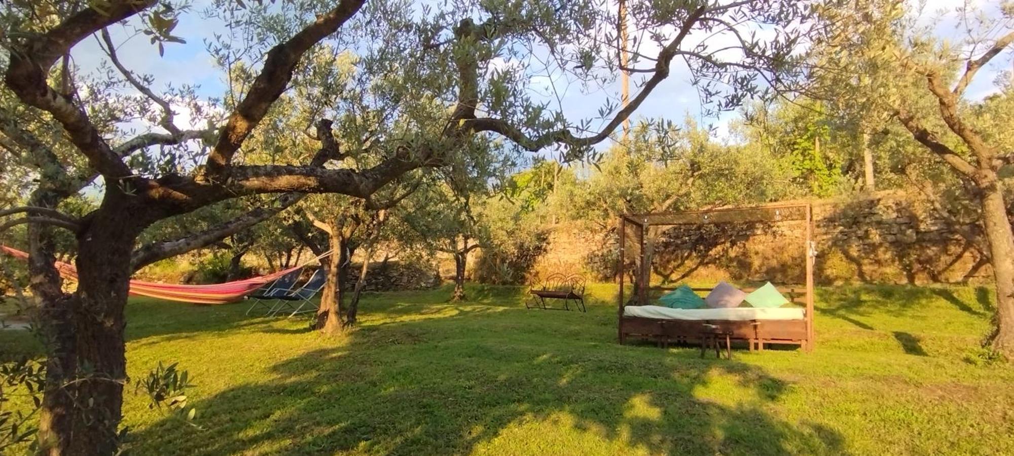 La Casa Tra Gli Ulivi Bed and Breakfast Κορτόνα Εξωτερικό φωτογραφία