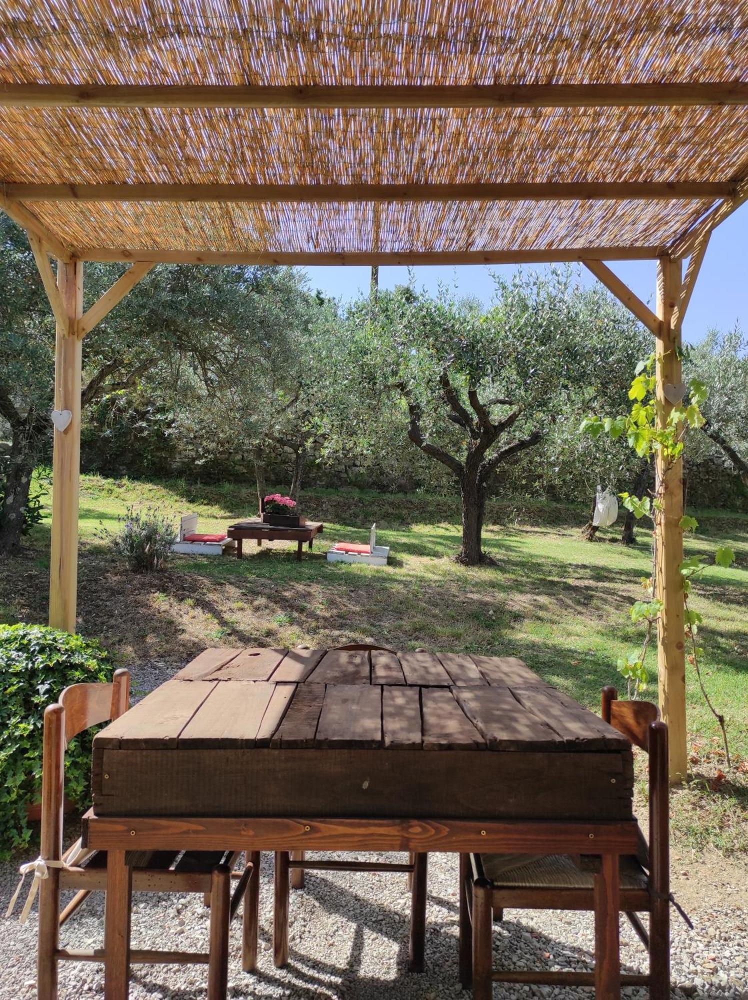 La Casa Tra Gli Ulivi Bed and Breakfast Κορτόνα Εξωτερικό φωτογραφία