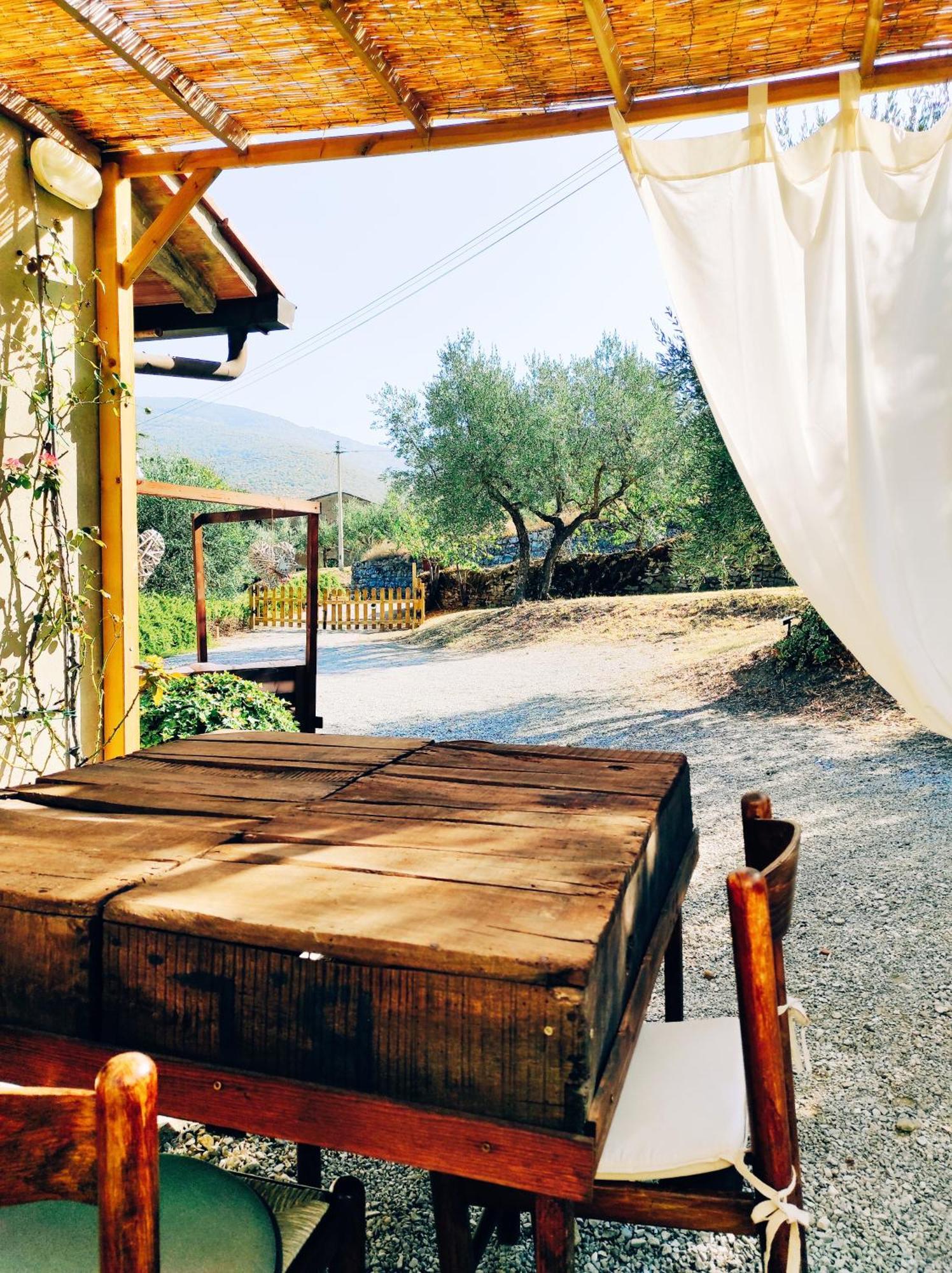 La Casa Tra Gli Ulivi Bed and Breakfast Κορτόνα Εξωτερικό φωτογραφία